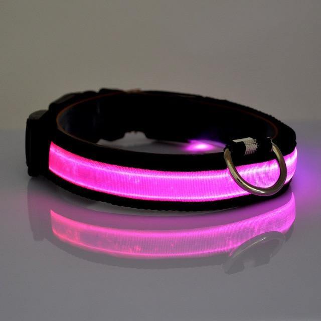 LED Cat Dog Collar - 76thLane 